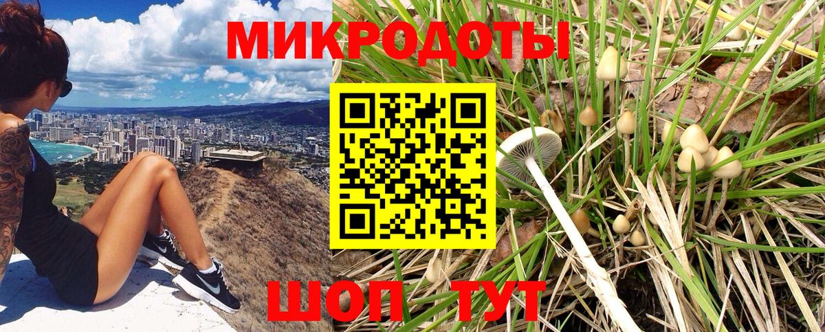 Галлюциногенные грибы мицелий Норильск